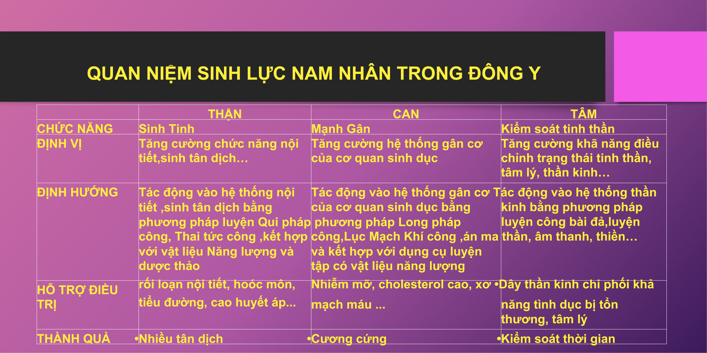 NỘI ĐAN KHÍ CÔNG NĂNG LƯỢNG KHÍ