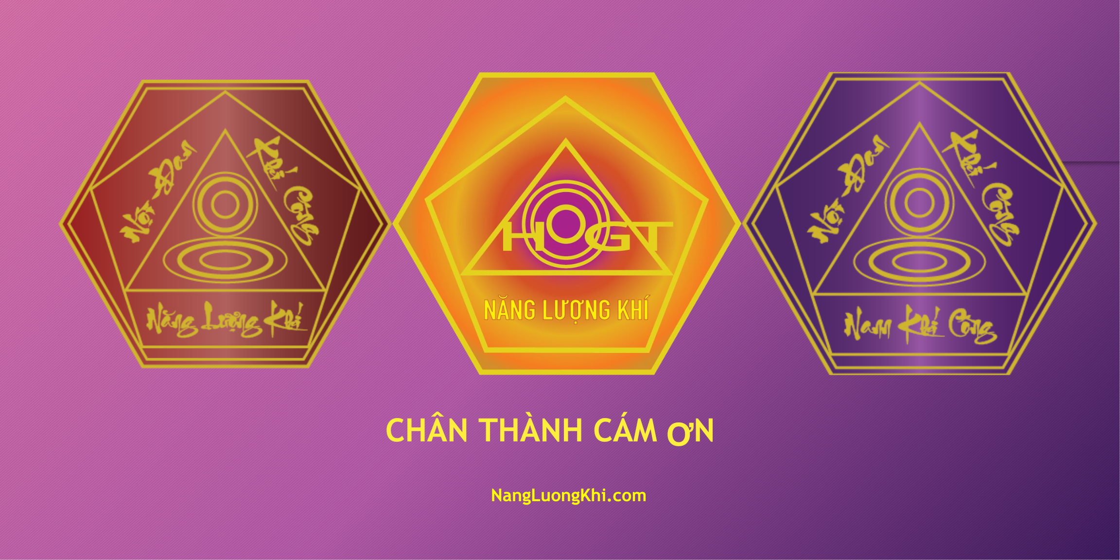 NỘI ĐAN KHÍ CÔNG NĂNG LƯỢNG KHÍ