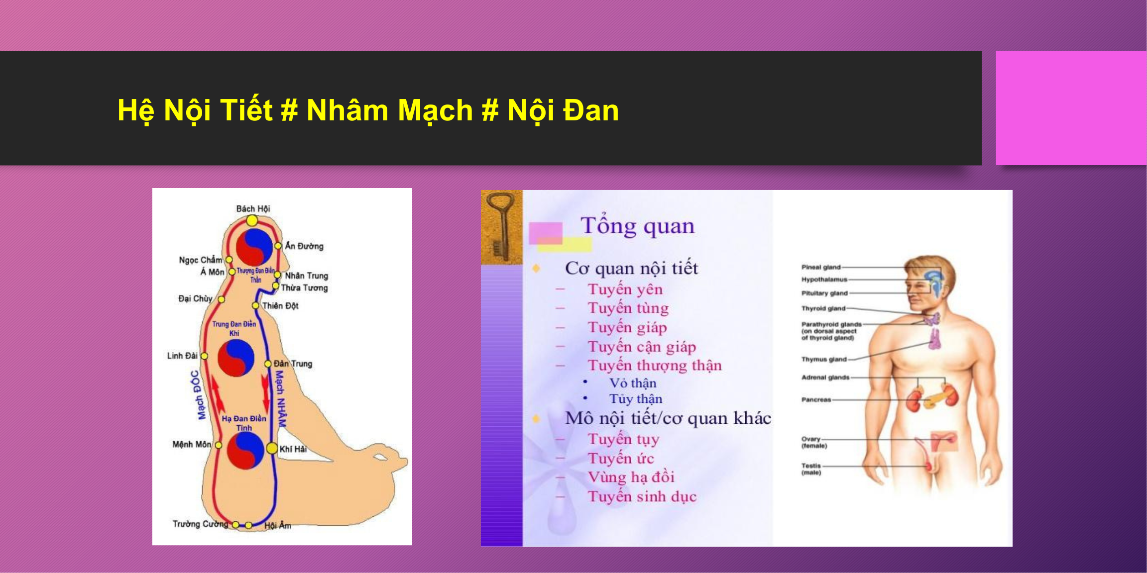NỘI ĐAN KHÍ CÔNG NĂNG LƯỢNG KHÍ