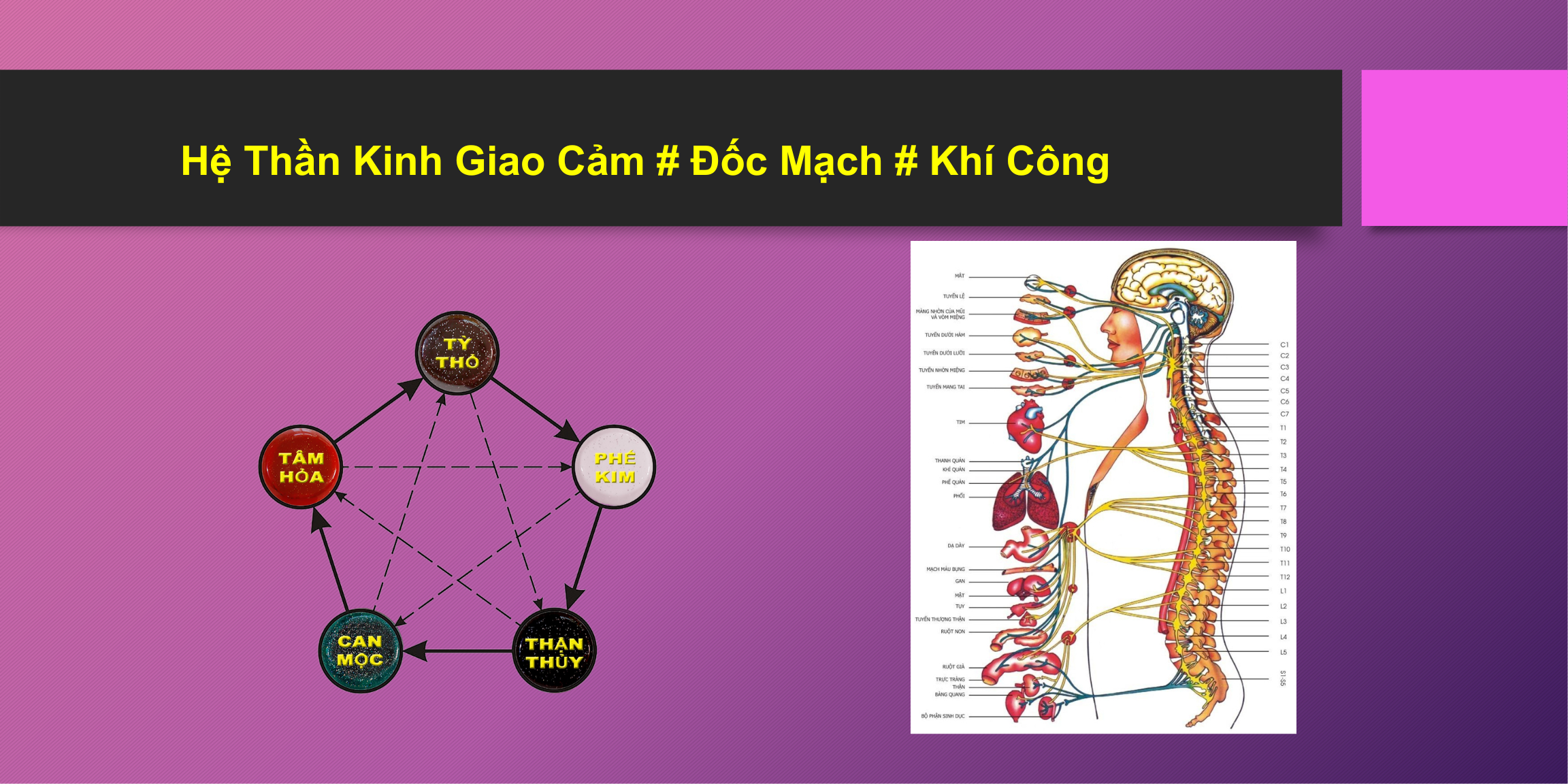 NỘI ĐAN KHÍ CÔNG NĂNG LƯỢNG KHÍ