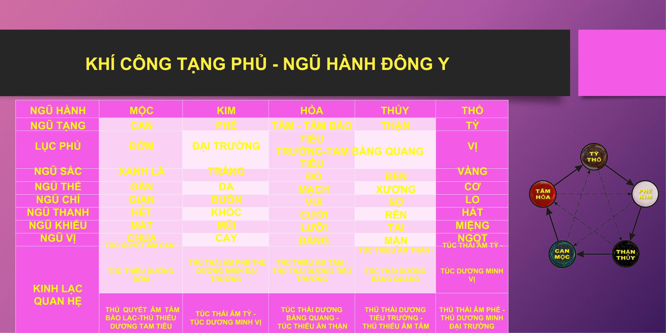 NỘI ĐAN KHÍ CÔNG NĂNG LƯỢNG KHÍ