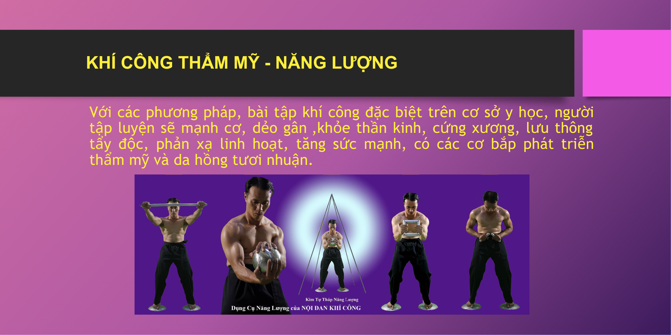 NỘI ĐAN KHÍ CÔNG NĂNG LƯỢNG KHÍ