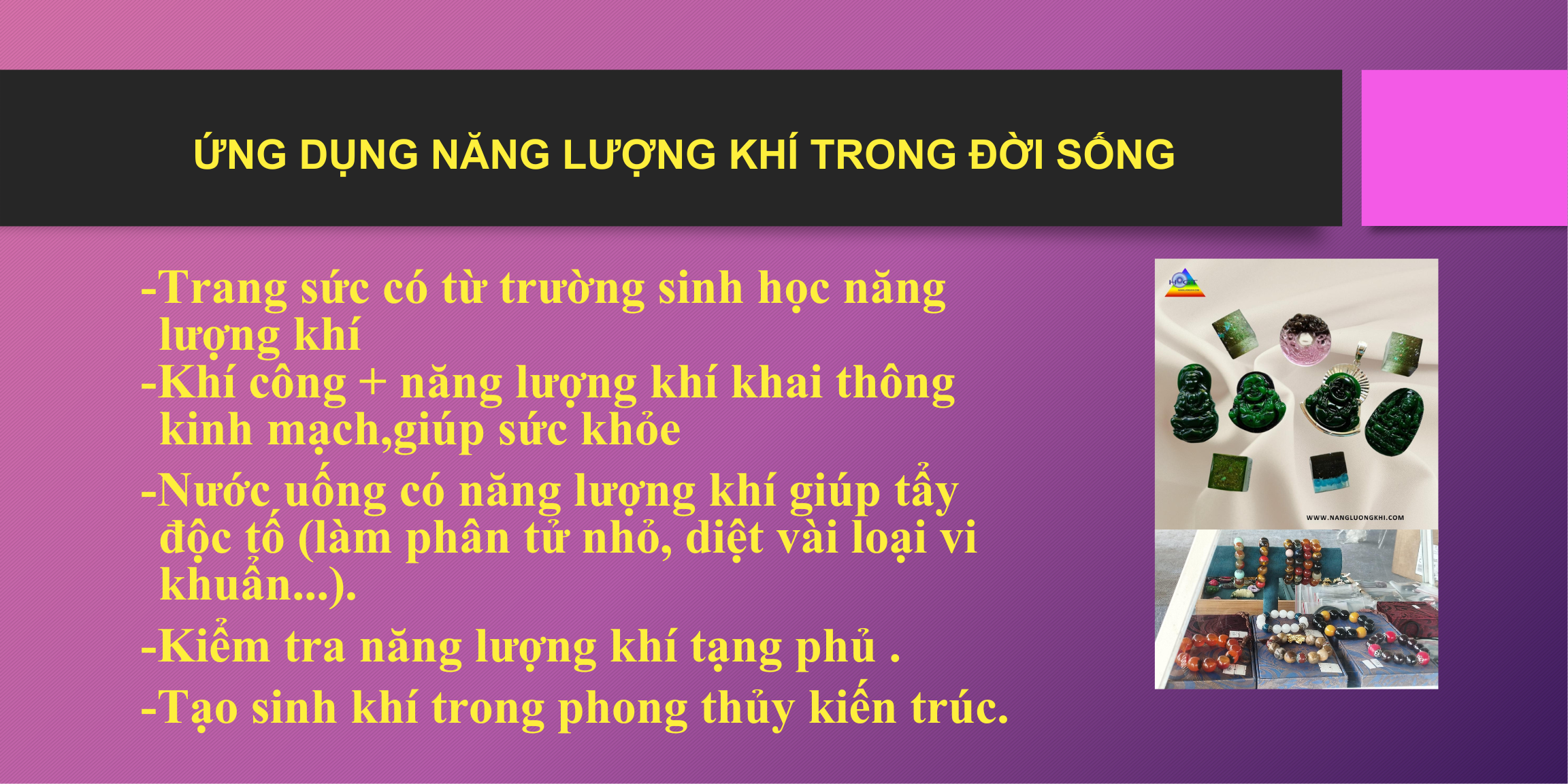 NỘI ĐAN KHÍ CÔNG NĂNG LƯỢNG KHÍ
